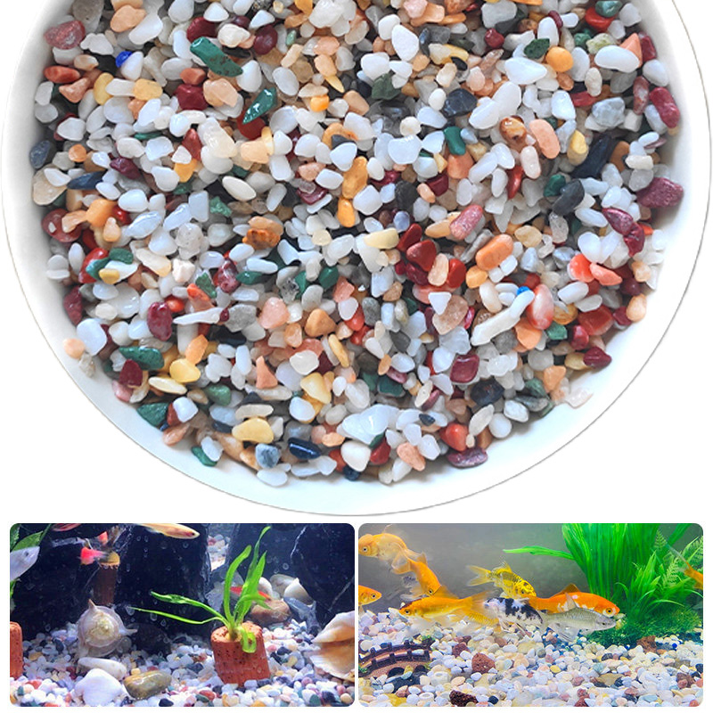 Aquarium Sand White - หินกรวดธรรมชาติ 200~1000 กรัม ไมโครแลนด์สเคป การตกแต่งสวน ตู้ปลา