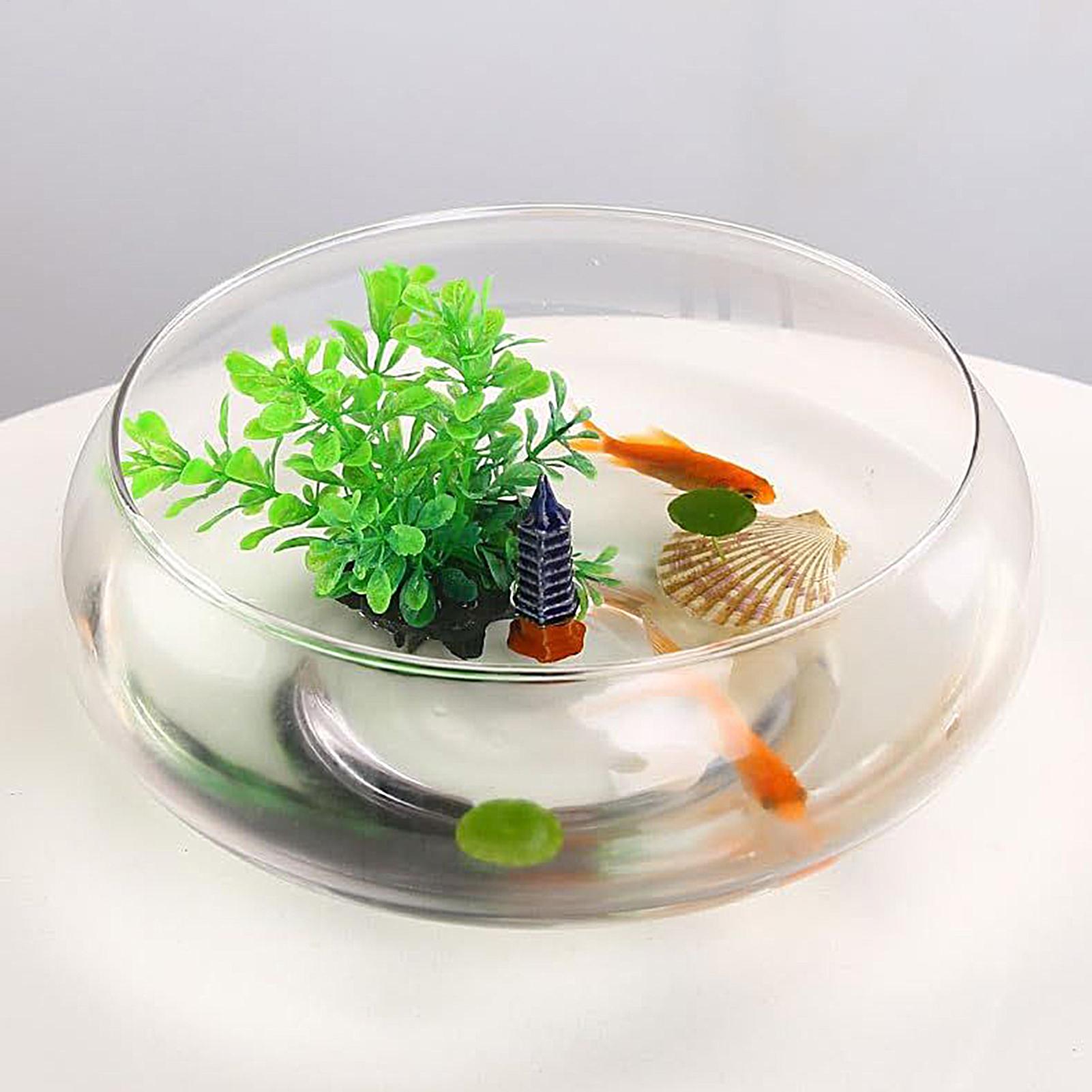 Planted Aquarium For Goldfish - ชามแก้วสำหรับปลา ชามแก้วขนาดใหญ่ กระถางปลูกพืชแบบไฮโดรโปนิกส์ ชามทรงกลมตื้น ชามปลูกต้นไม้ ชามปลูกพืชขนาดเล็ก