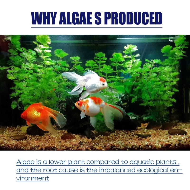 สารกำจัดสาหร่ายประสิทธิภาพสูง  - Aquarium Plant Delivery บทวิจารณ์และราคา