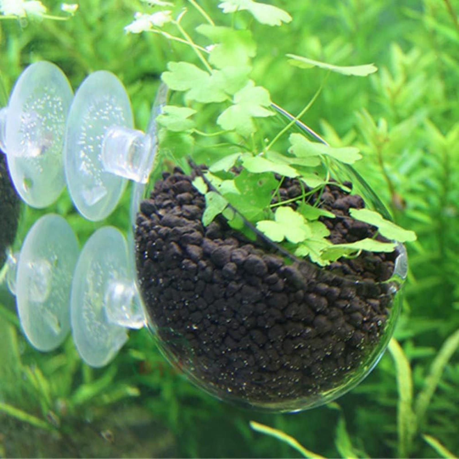 ที่วางต้นไม้ในตู้ปลา กระถางแก้ - Aquarium Plant Gel บทวิจารณ์และราคา
