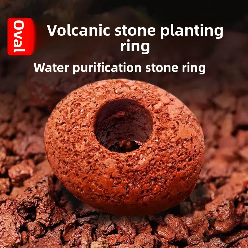หินภูเขาไฟสำหรับตู้ปลา วงแหวนป - Planted Aquarium Care บทวิจารณ์และราคา