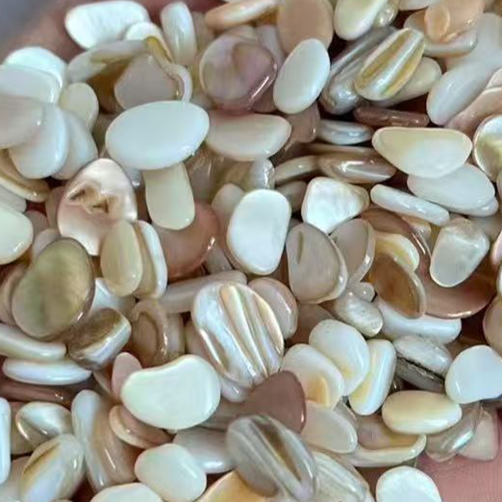 เปลือกหอยมุกธรรมชาติสีเบจขาวขน - Aquarium Sand White บทวิจารณ์และราคา