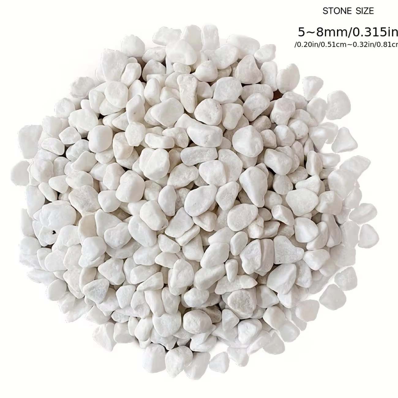 หินตกแต่งสีขาว 100/200 กรัม สำ - Aquarium Sand White บทวิจารณ์และราคา