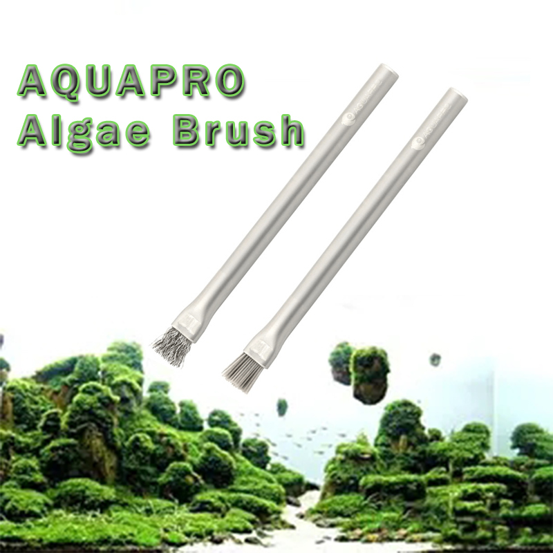 Aquapro Algae Brush Aquarium อ - Planted Aquarium Hard Water บทวิจารณ์และราคา