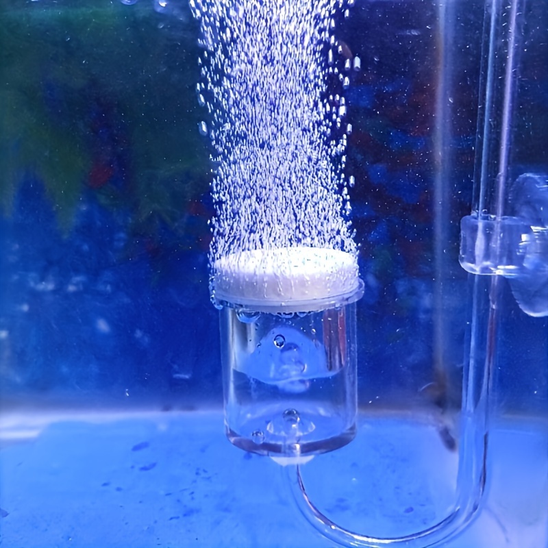 Aquarium Glass CO2 Atomizer Di - Aquarium Plant Delivery บทวิจารณ์และราคา