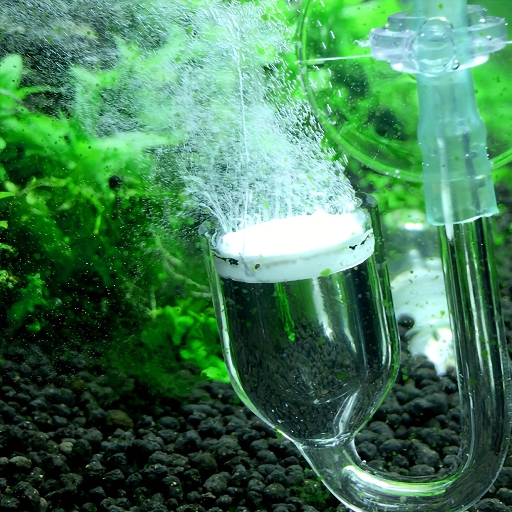 Aquarium Glass CO2 Atomizer Di - Aquarium Plant Delivery บทวิจารณ์และราคา