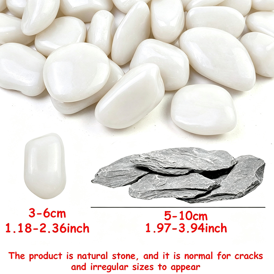 ชุดตกแต่งตู้ปลา 400 กรัม หินชน - Aquarium Sand White บทวิจารณ์และราคา
