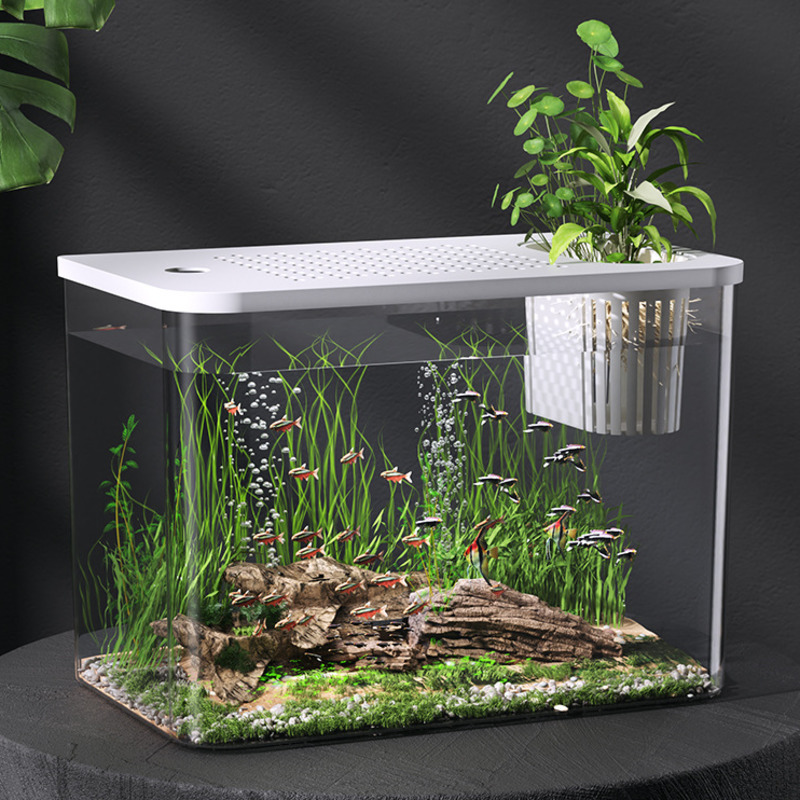 ตู้ปลาพลาสติกใสพร้อมฝาปิด ขนาด - Planted Aquarium For Goldfish บทวิจารณ์และราคา