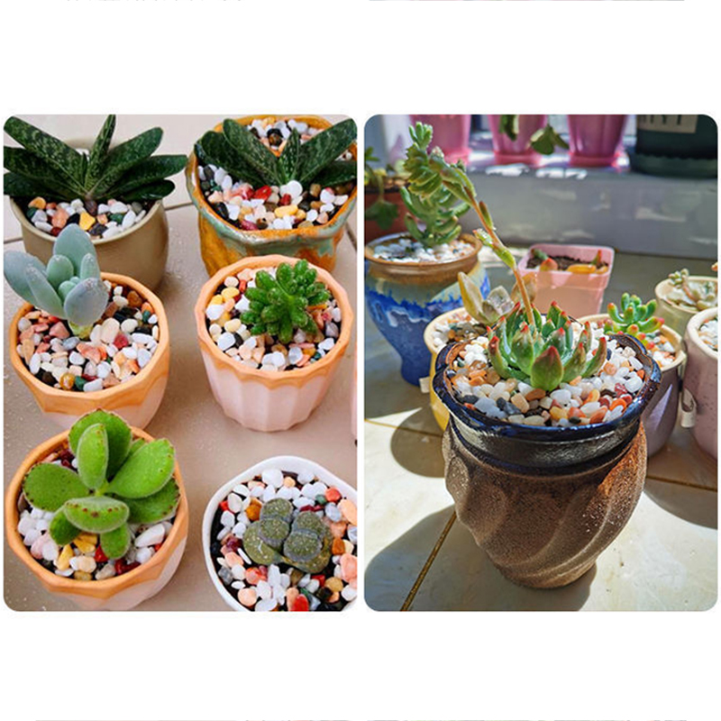 หินกรวดธรรมชาติ 200~1000 กรัม  - Aquarium Sand White บทวิจารณ์และราคา