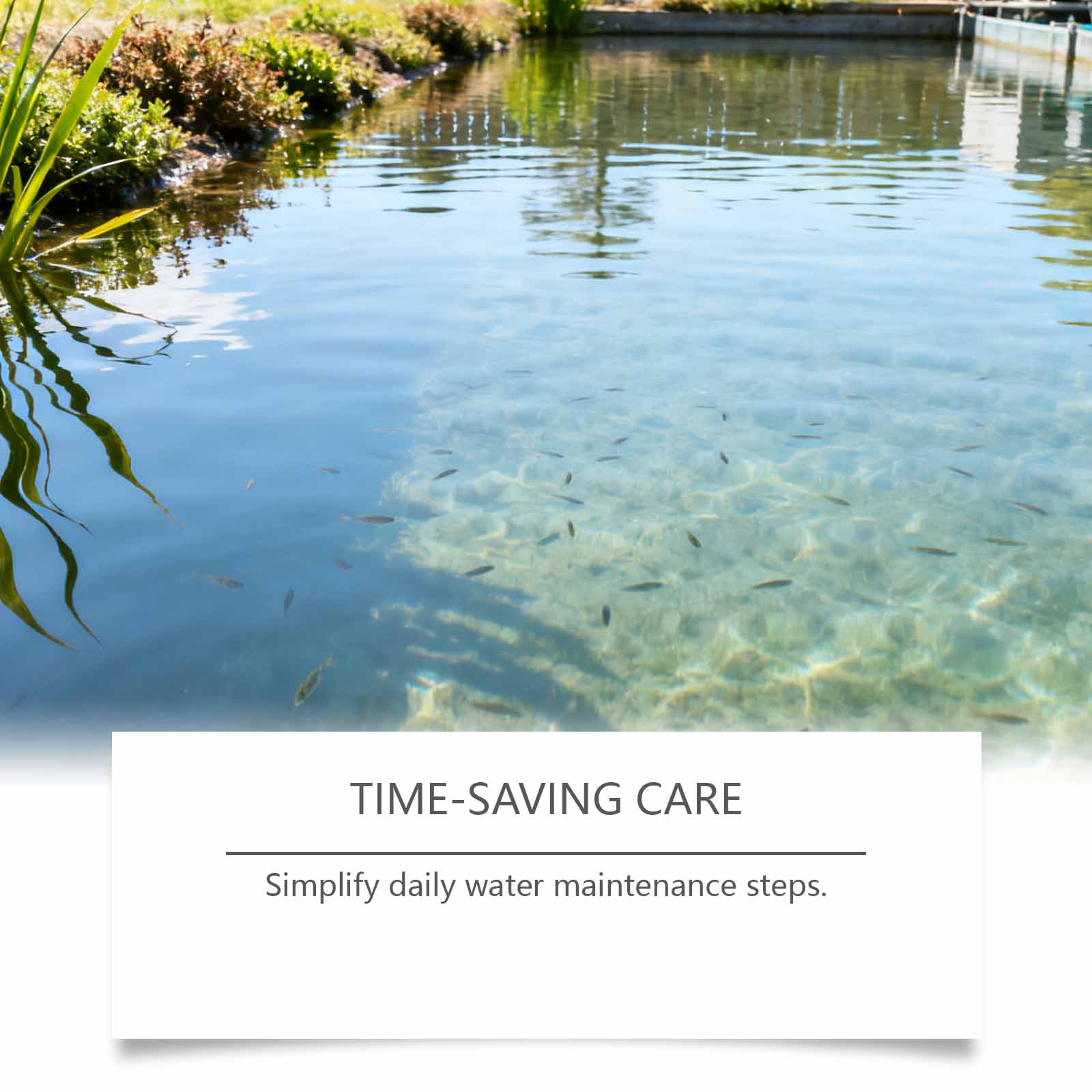 1/2/3/5PCS ผงปรับสภาพน้ำในตู้ป - Planted Aquarium Care บทวิจารณ์และราคา