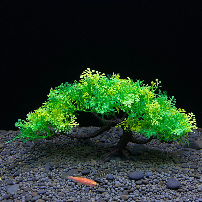 ต้นบอนไซสำหรับตู้ปลา, ต้นไม้,  - Planted Aquarium For Goldfish บทวิจารณ์และราคา