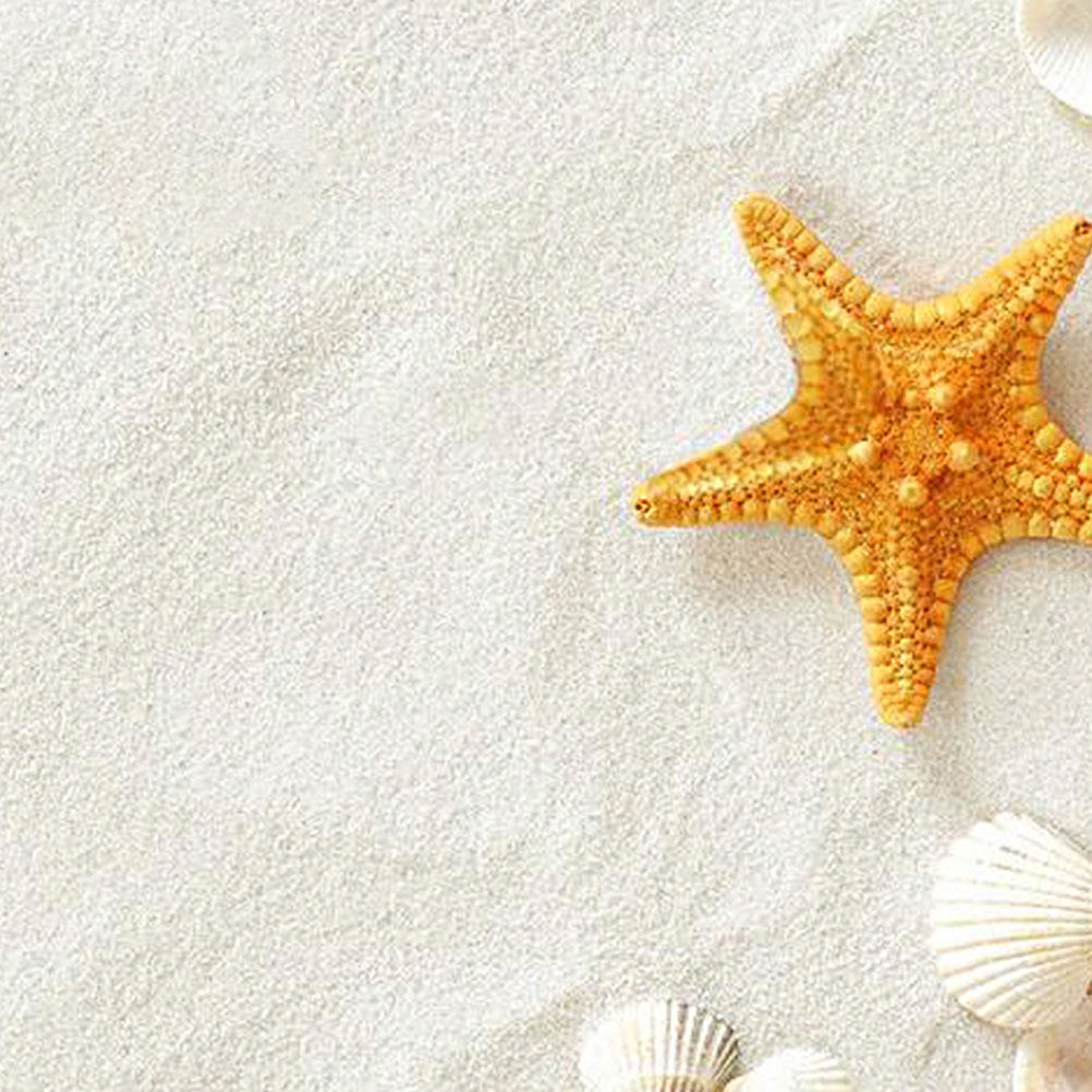 ทรายสีขาว 5 แพ็ค 80 กรัม สำหรั - Aquarium Sand White บทวิจารณ์และราคา