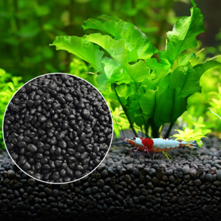 พิพิธภัณฑ์สัตว์น้ำเมล็ดพืชดิน  - Aquarium Plant Delivery บทวิจารณ์และราคา