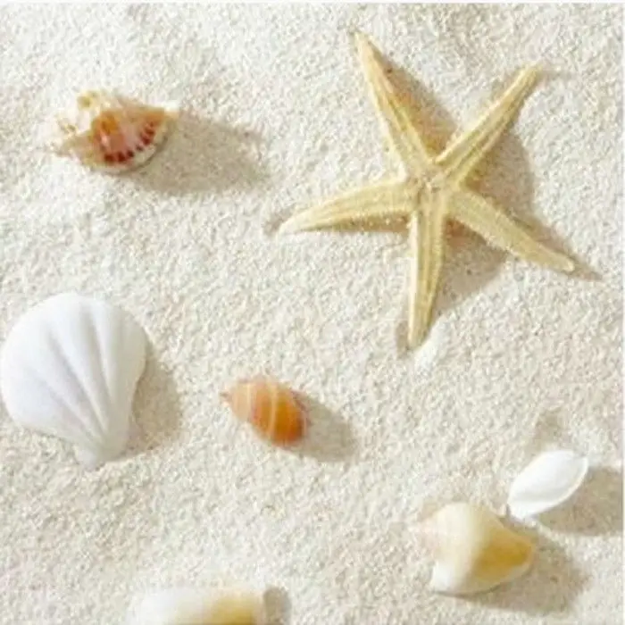ธรรมชาติลิ้งค์ ฟิลิปปินส์ แซนด - Aquarium Sand White บทวิจารณ์และราคา